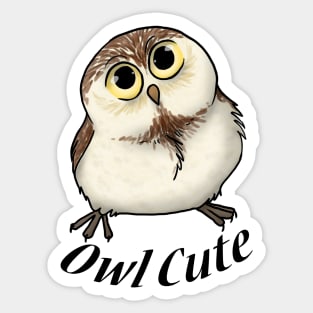 Owl Cute Sticker